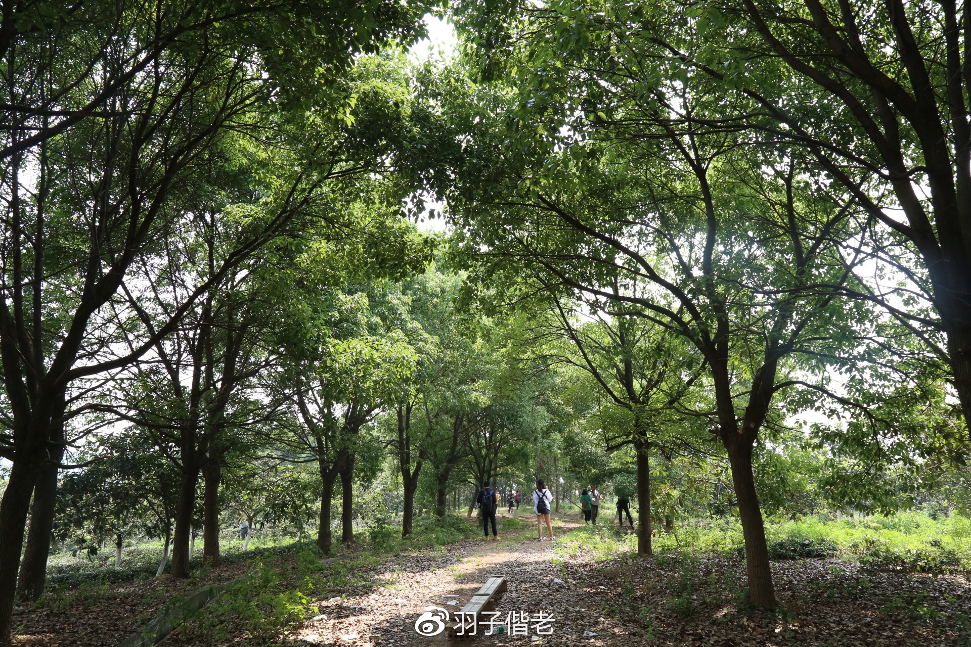 日日春农庄,日日春农业生态园