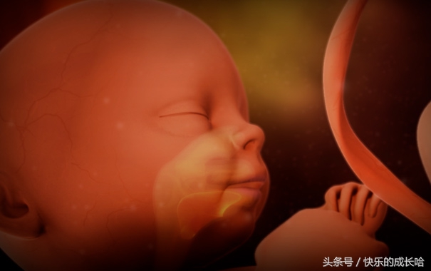 怀孕25周的宝宝有什么变化,妈妈怀孕宝宝变化