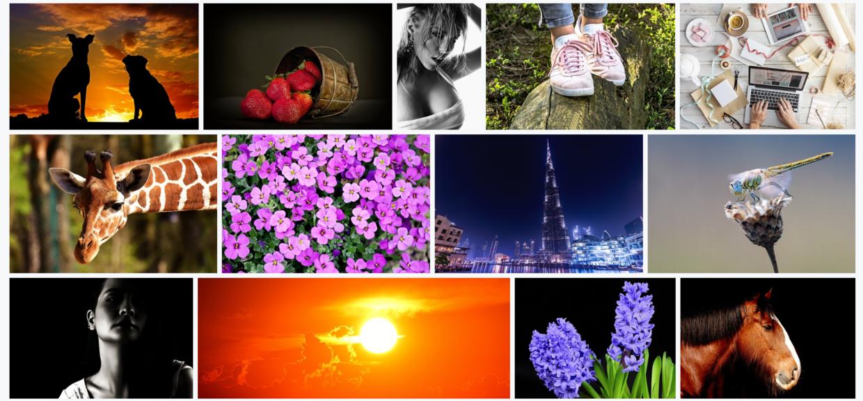 ppt素材最全最新网站,ppt里面的素材哪里找