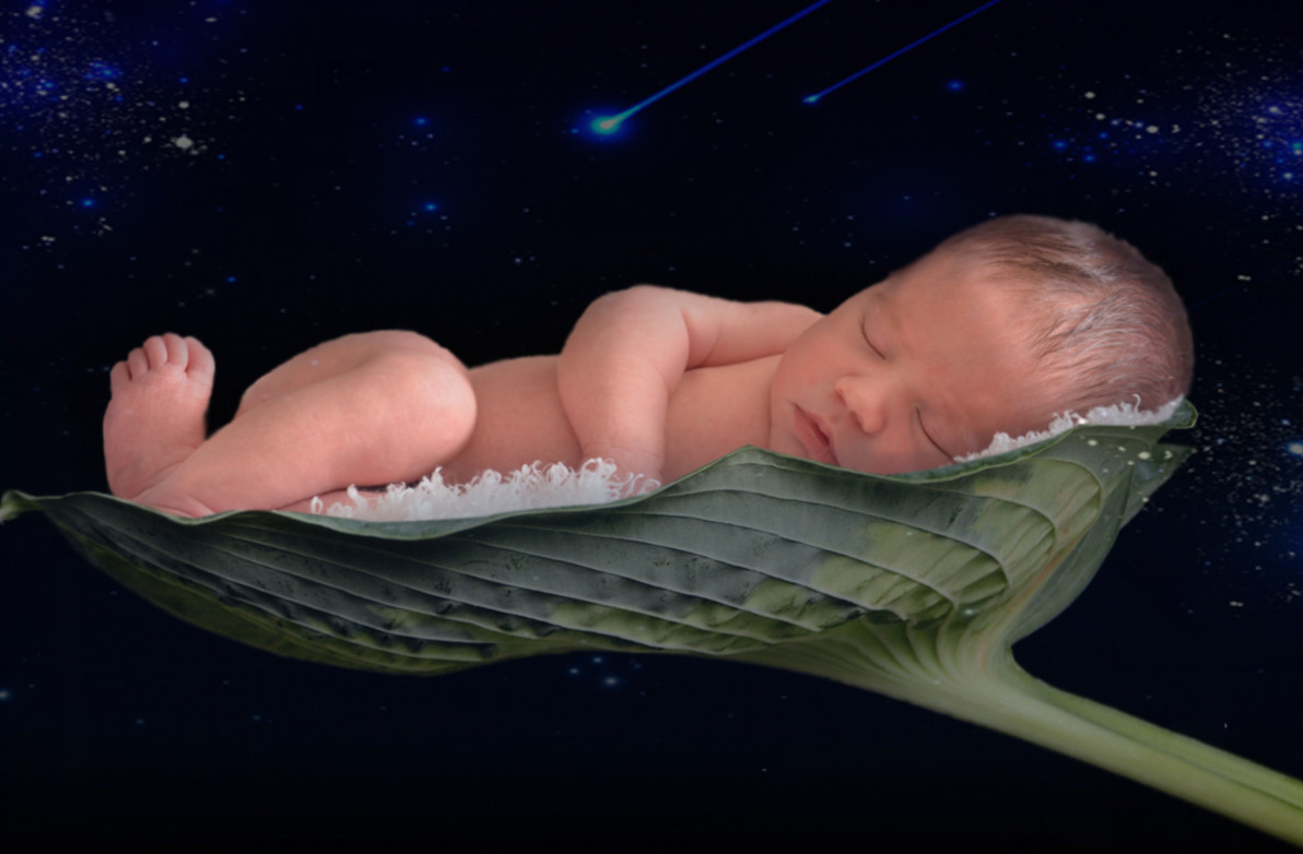 孕妈请关注羊水真的很重要,羊水的主要生理功能