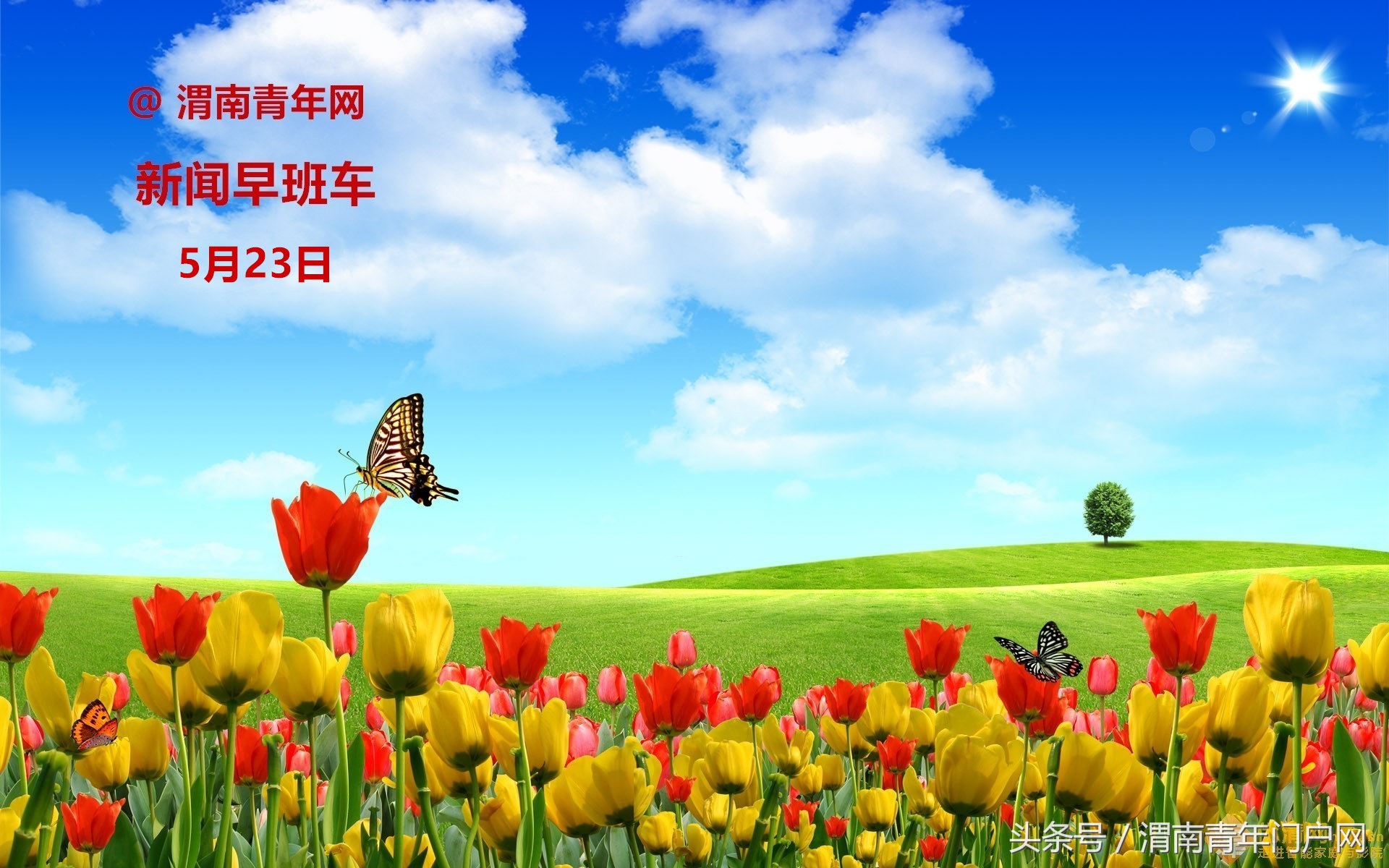 渭南新闻10月26日,渭南早班车最新消息