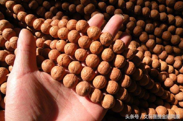 凤眼菩提价格还会降吗,今年小凤眼为什么涨价