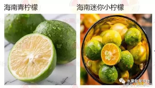 水果分类分为哪几类,超市水果分类表一览表