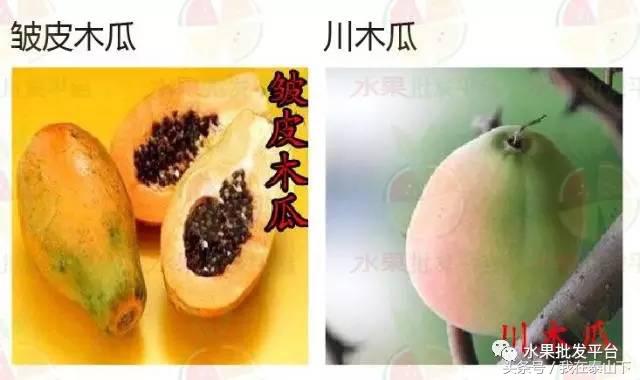 水果分类分为哪几类,超市水果分类表一览表