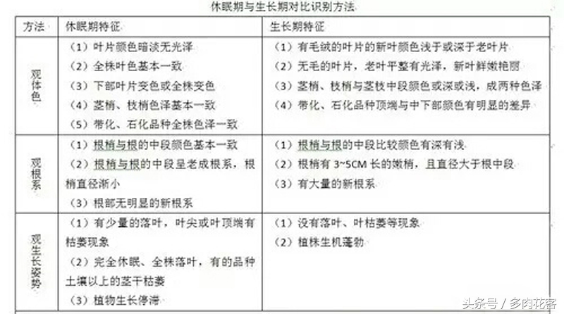多肉植物休眠期养护方法,多肉植物是冬天休眠还是夏天休眠