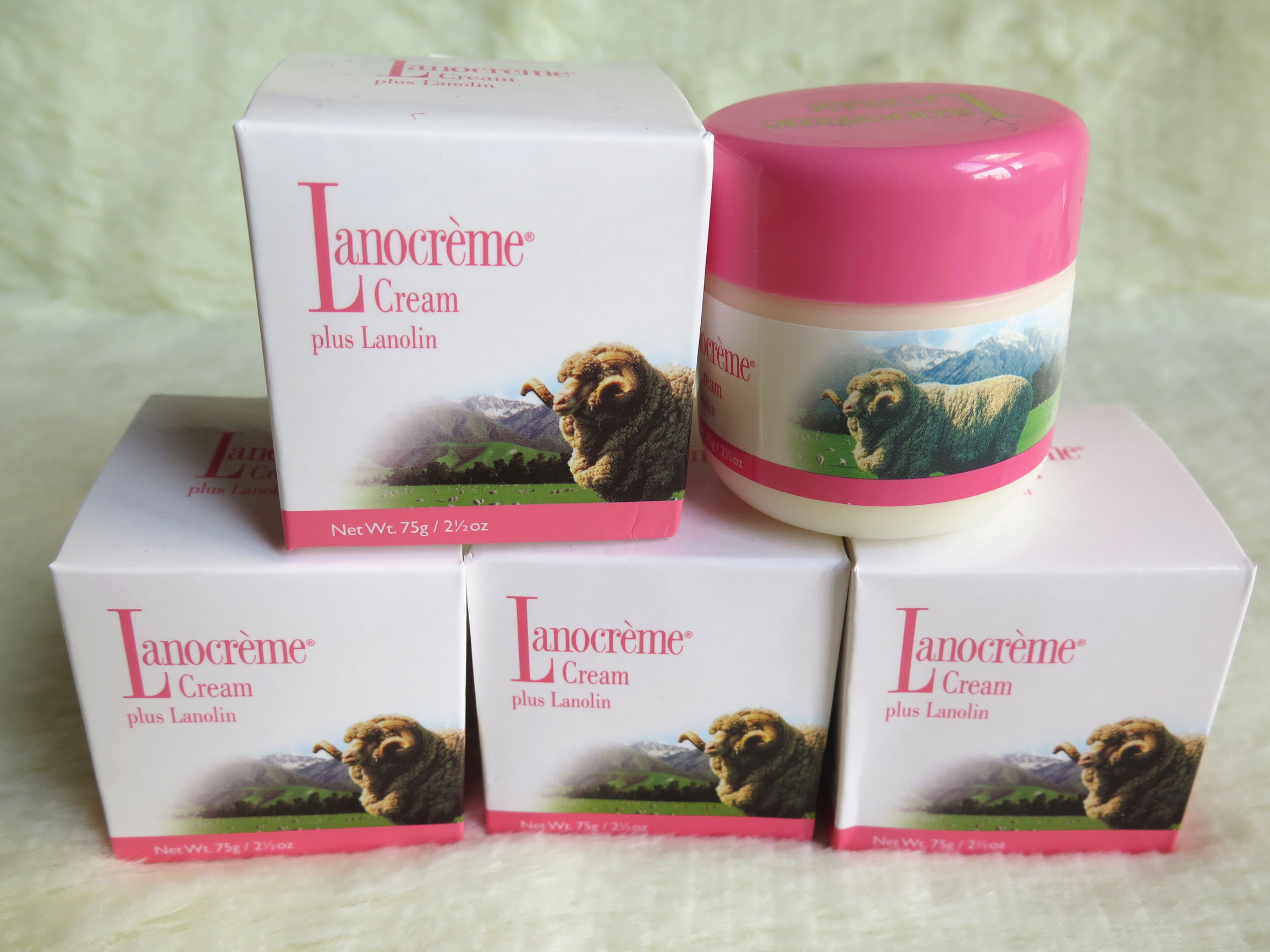 绵羊购物必买清单,绵羊国