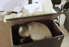 捉迷藏高手躲藏,捉迷藏的高手是谁