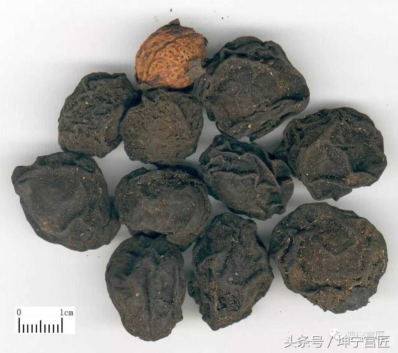 如何去除铜器上的锈,青铜器锈蚀种类及处理方法