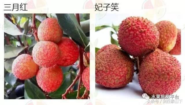 水果分类分为哪几类,超市水果分类表一览表