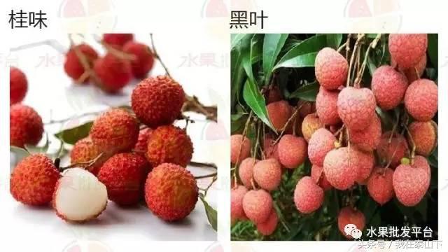 水果分类分为哪几类,超市水果分类表一览表