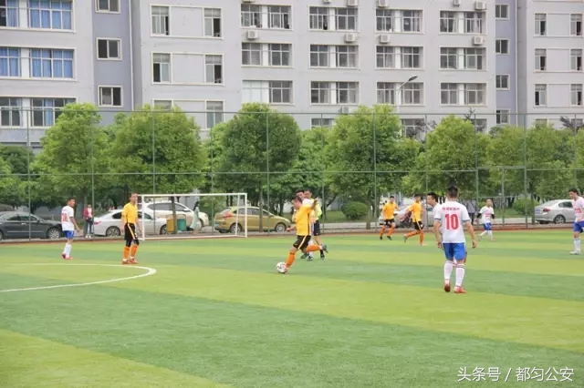 绿茵场上青春飞扬,绿茵场上驰骋飞扬