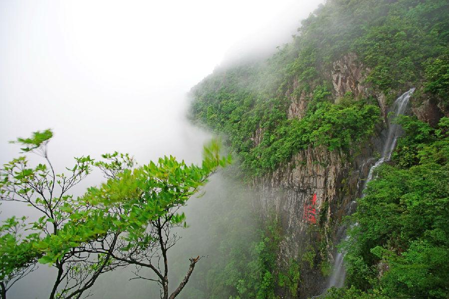 赣州安远三百山磁悬浮,赣州安远三百山旅游攻略