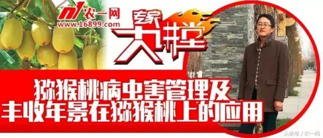 植保专家魏明：一堂讲课引发的一次远行