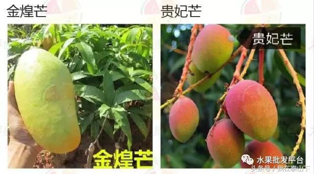 水果分类分为哪几类,超市水果分类表一览表