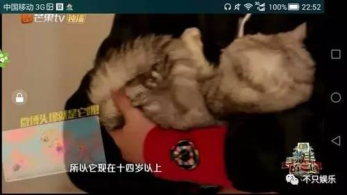 萧敬腾领养狗狗,萧敬腾领养孩子