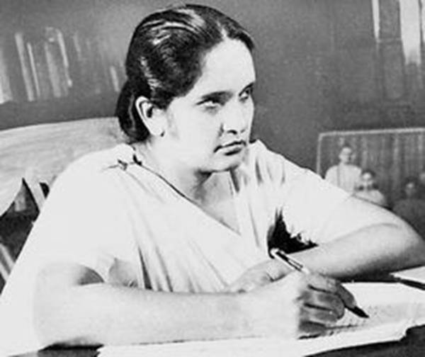 每日花语每天一句,每日花语十二月