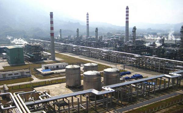 每日花语每天一句,每日花语十二月