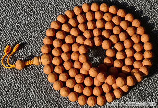 凤眼菩提价格还会降吗,今年小凤眼为什么涨价