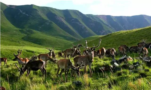 北京到青海自驾游最佳路线,北京至青海自驾游攻略