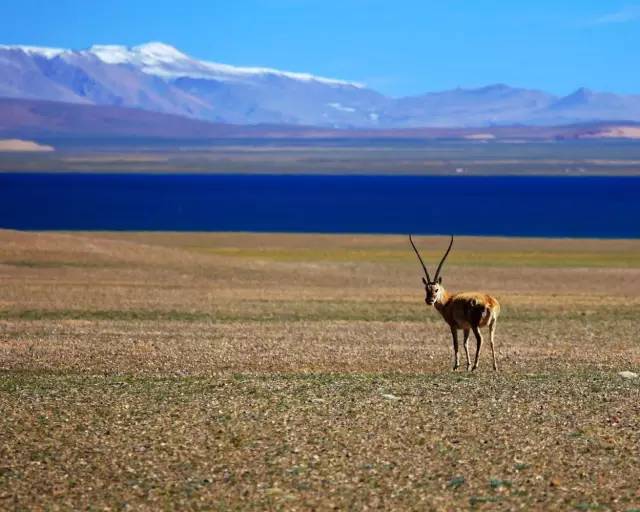 北京到青海自驾游最佳路线,北京至青海自驾游攻略