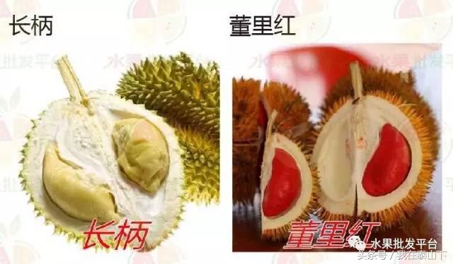 水果分类分为哪几类,超市水果分类表一览表