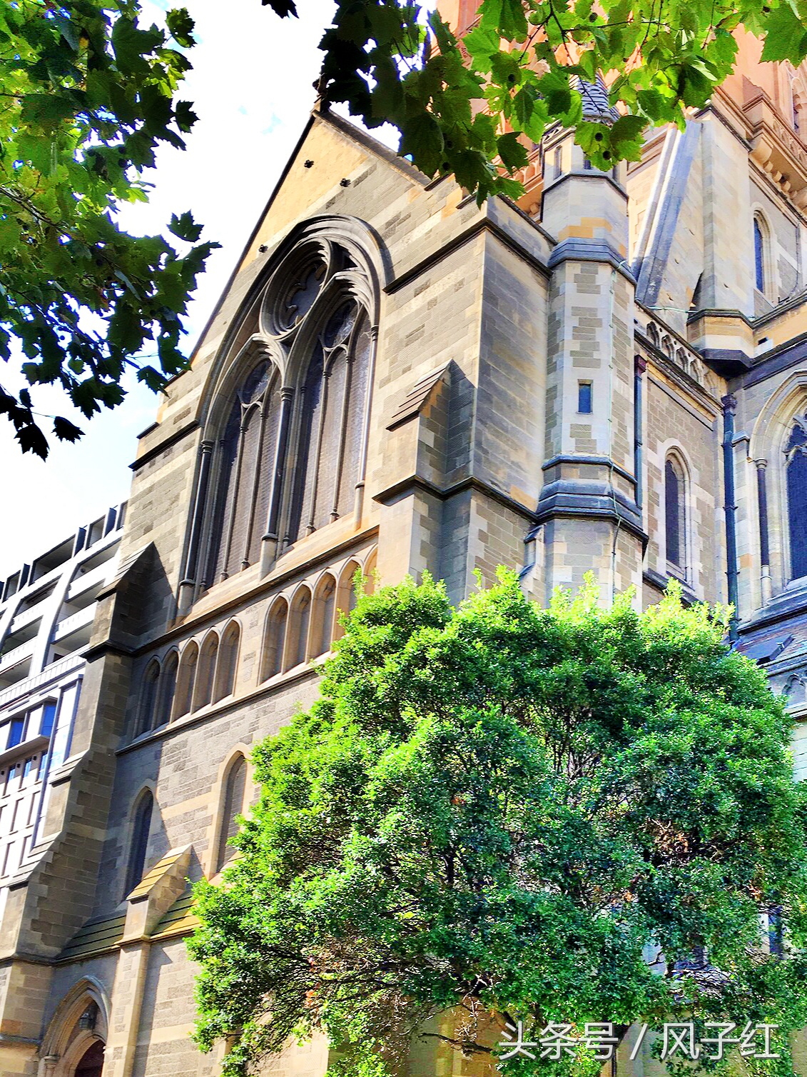 CityTour丨弃车暴走墨尔本，看看人家的街头文化