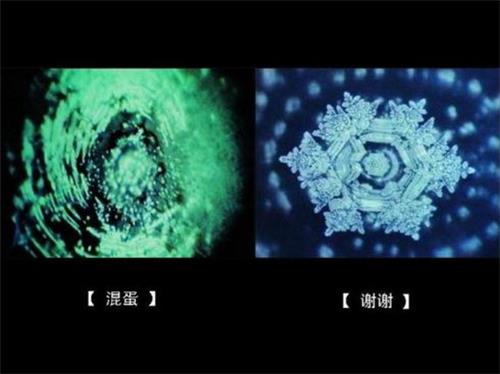 腰间盘突出治愈真实案例,腰间盘突出发病时正确锻炼方法