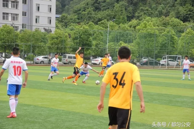 绿茵场上青春飞扬,绿茵场上驰骋飞扬