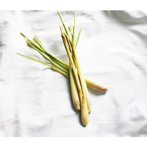 世界美食天堂槟城,24小时吃遍槟城