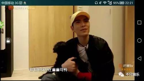 萧敬腾领养狗狗,萧敬腾领养孩子