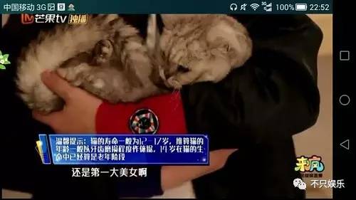 萧敬腾领养狗狗,萧敬腾领养孩子