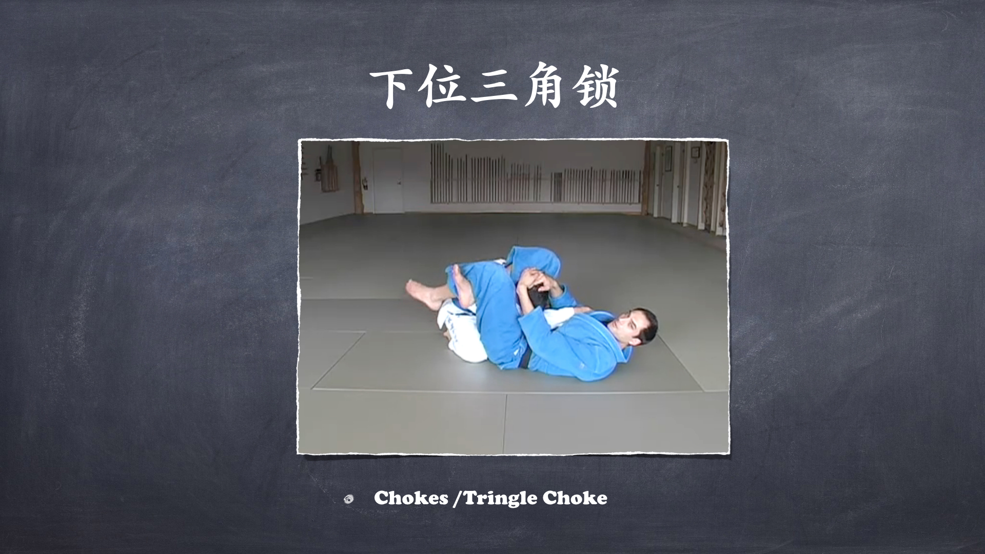 RoyDeans巴西柔术蓝带技术学习大纲