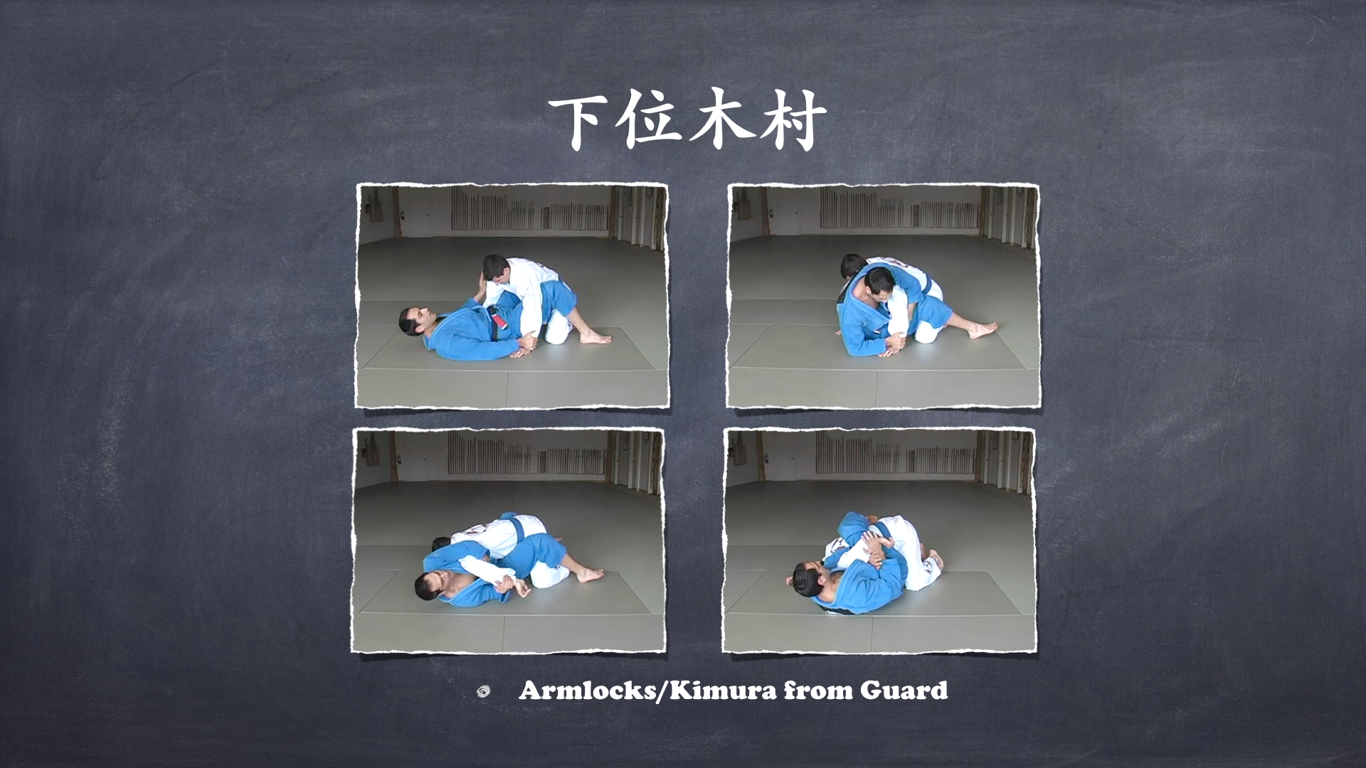 RoyDeans巴西柔术蓝带技术学习大纲