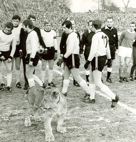 沙尔克04队徽演变,沙尔克04曾经辉煌