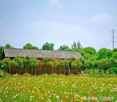 南京是一座很美的城市,南京最让人震撼的城市