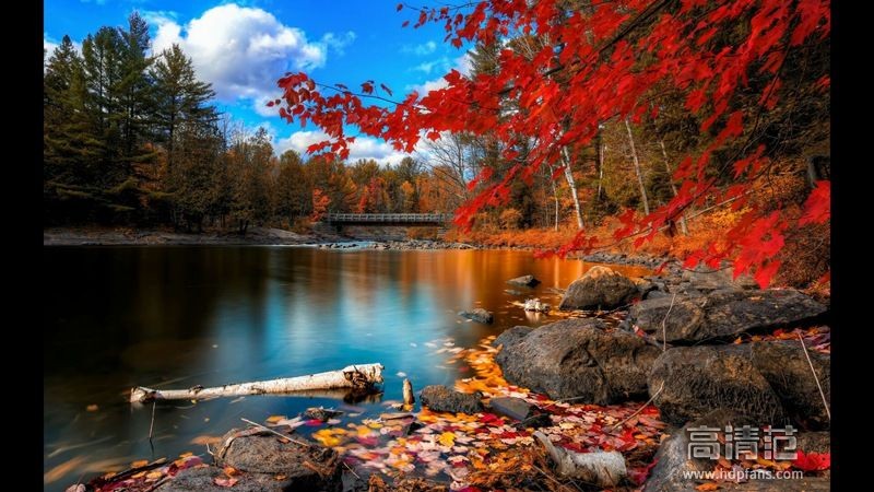 智能语音震撼,企鹅极光盒子语音测试