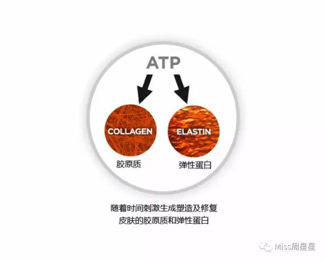 美容仪newa与雅萌ace区别,美容仪newface