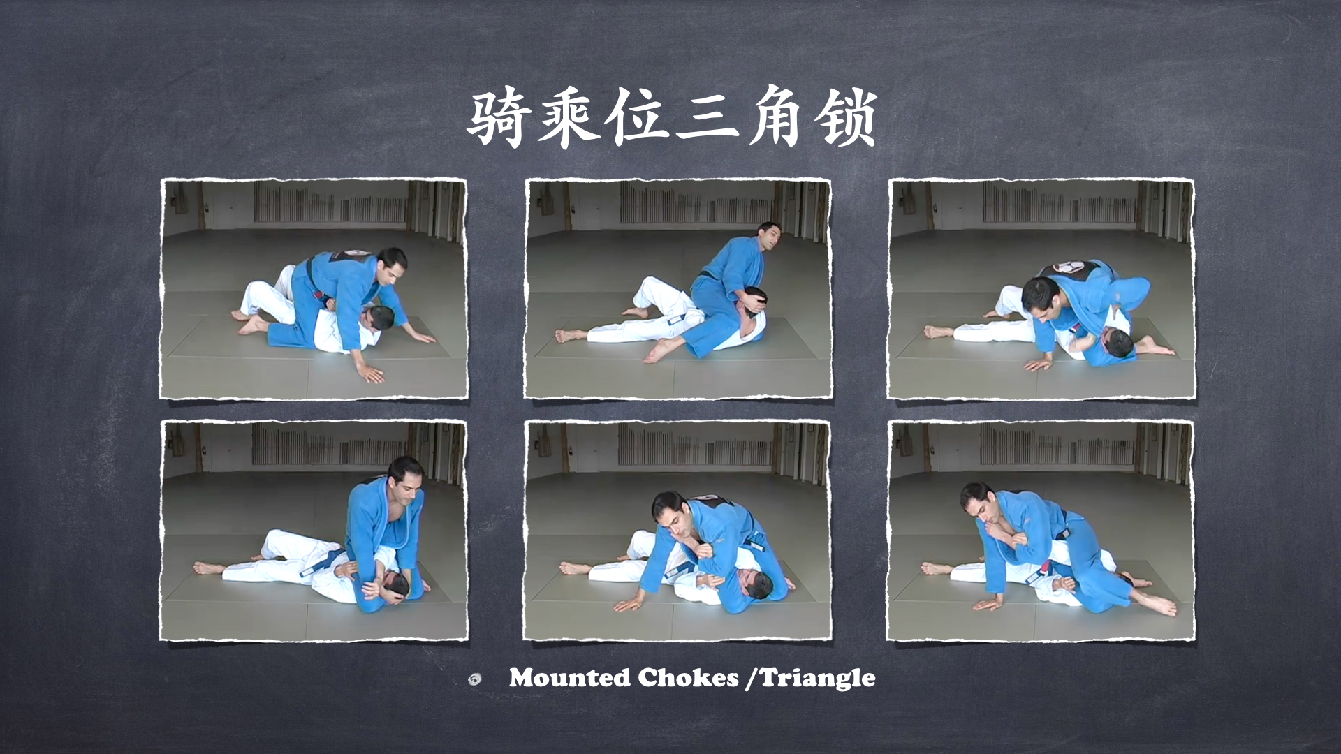 RoyDeans巴西柔术蓝带技术学习大纲