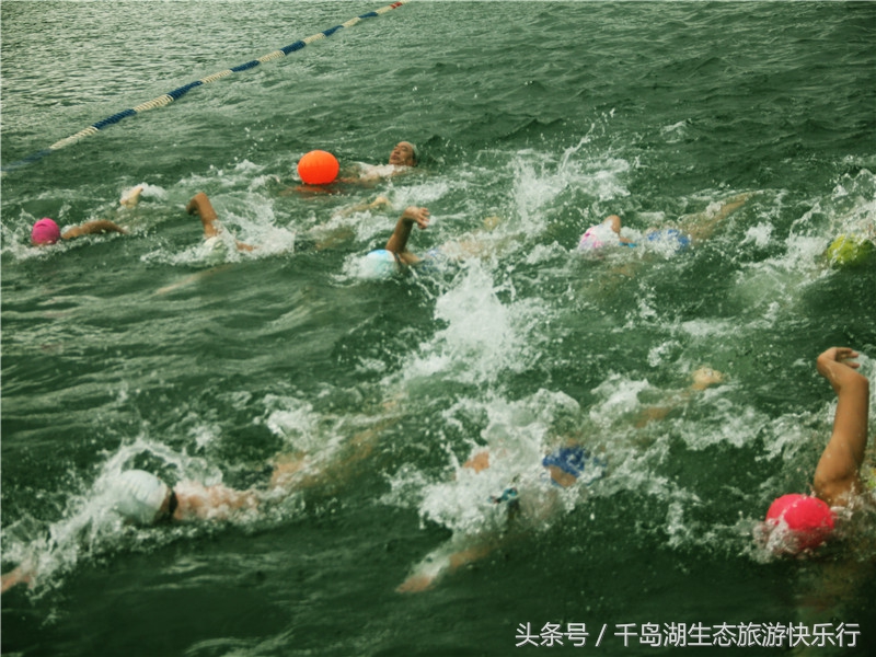 千岛湖人真有福！免费享受573km²的天然绿色游泳场（原创）