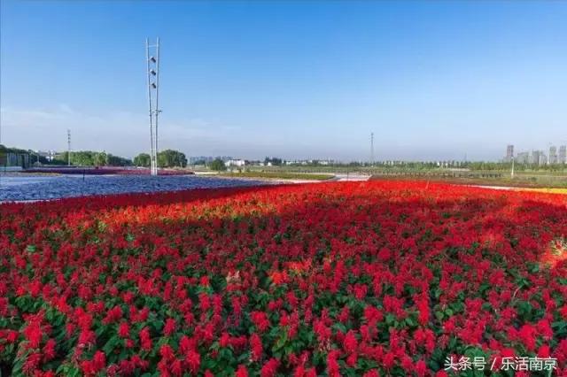 南京是一座很美的城市,南京最让人震撼的城市