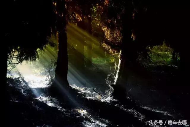 重庆晚上约会浪漫的地方,重庆打卡浪漫约会地