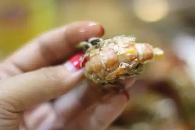 大连足球探店,大连足球迷玩的地方