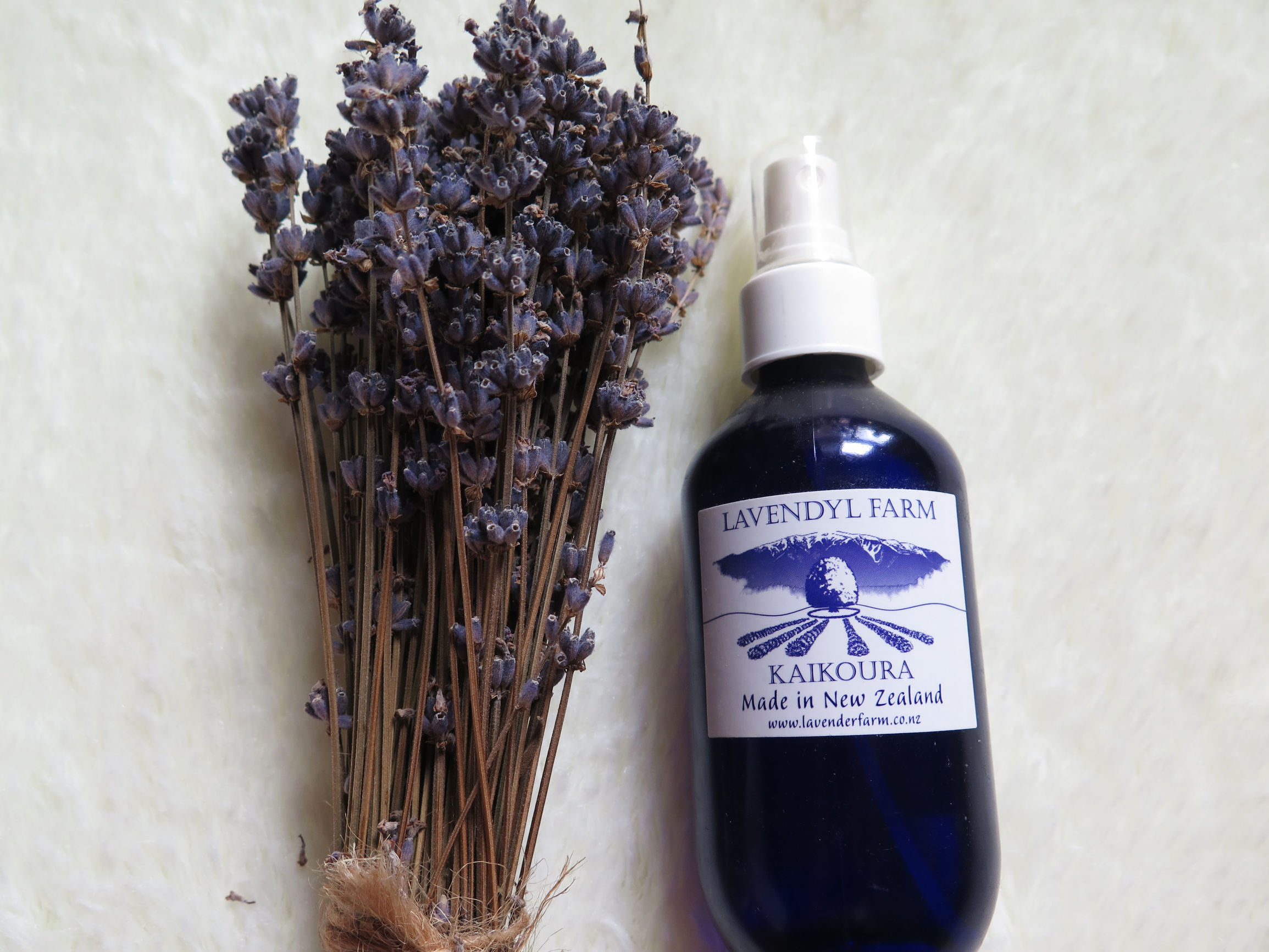 绵羊购物必买清单,绵羊国