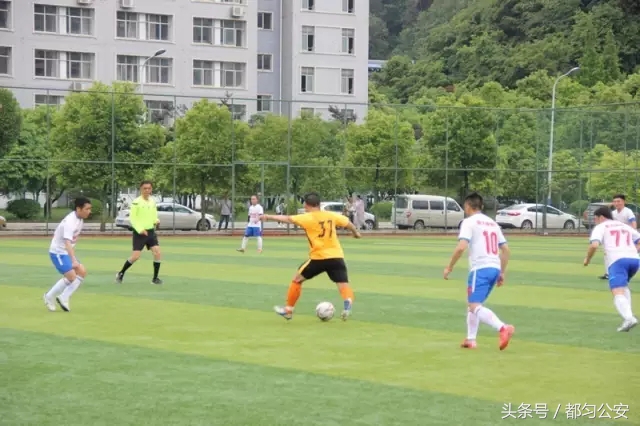 绿茵场上青春飞扬,绿茵场上驰骋飞扬