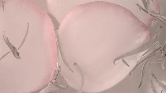 祖马龙爱马仕TOMFORD｜美的一塌糊涂的香，是你的菜？