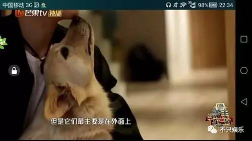 萧敬腾领养狗狗,萧敬腾领养孩子