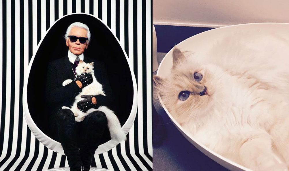 爱乐之城舞蹈连衣裙推荐,爱乐之城连衣裙穿搭