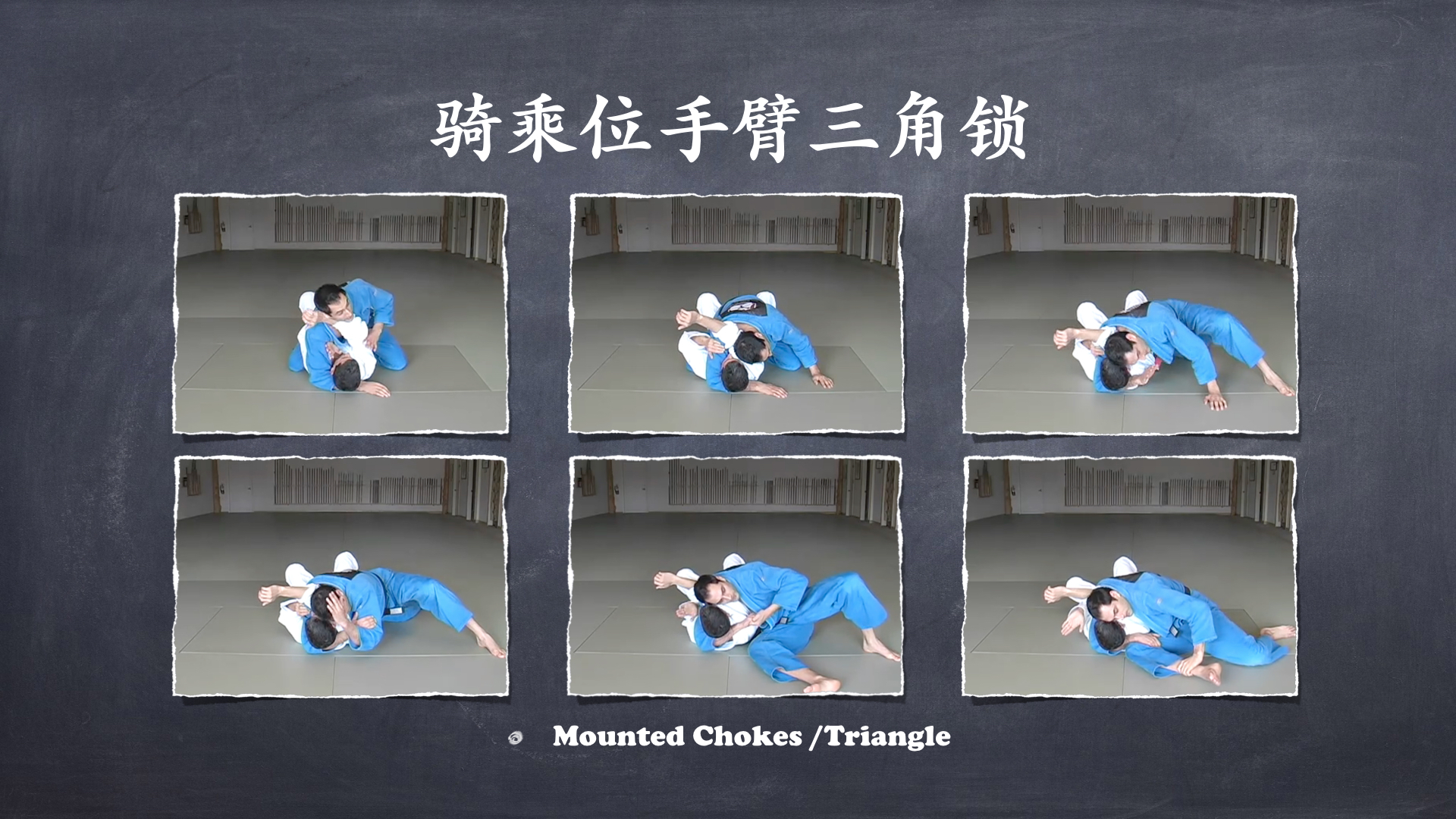 RoyDeans巴西柔术蓝带技术学习大纲