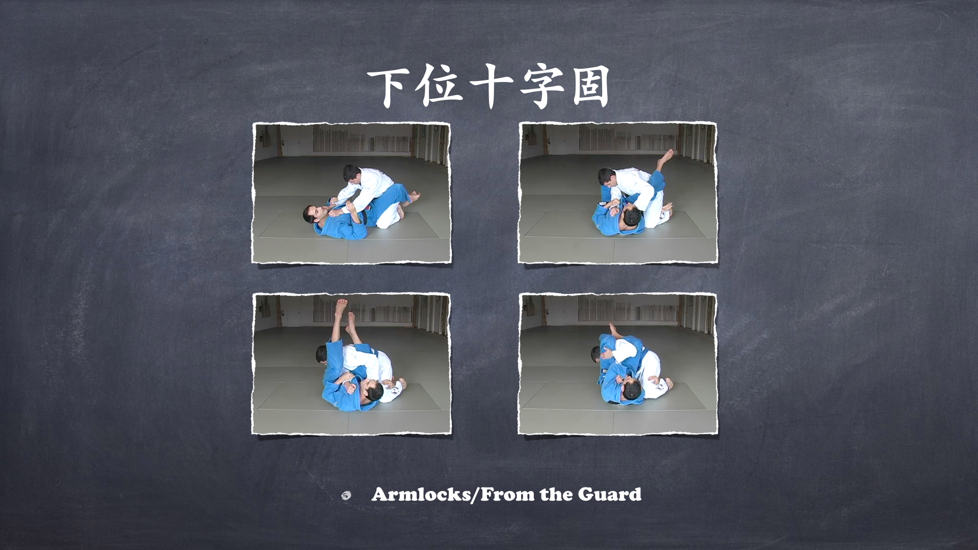 RoyDeans巴西柔术蓝带技术学习大纲