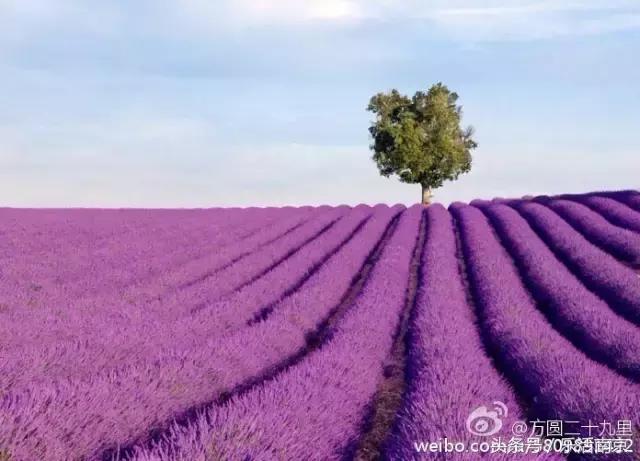 南京是一座很美的城市,南京最让人震撼的城市